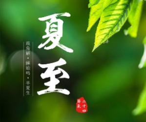 國產(chǎn)成人卡2卡3卡4亂碼,國產(chǎn)卡牌策略游戲：視覺藝術(shù)與深度策略的完美結(jié)合-1