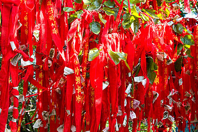 口猴哥30秒黑料不打烊｜網(wǎng)絡(luò)紅人爭(zhēng)議不斷，口猴哥的影響力與責(zé)任如何平衡-2