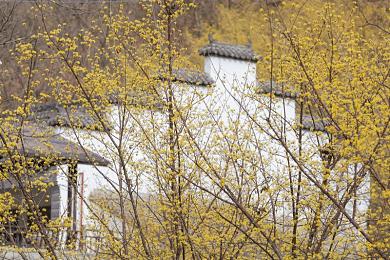 成品軟件大全免費下載安裝｜軟件寶庫：解鎖創意與效率，暢享免費軟件盛宴-2