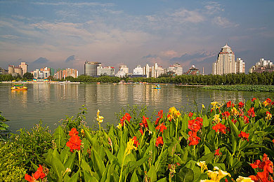 膠囊旅館2未增刪帶翻譯櫻花｜《櫻花主題膠囊旅館2》休閑模擬游戲上線，體驗別樣春日風情-1