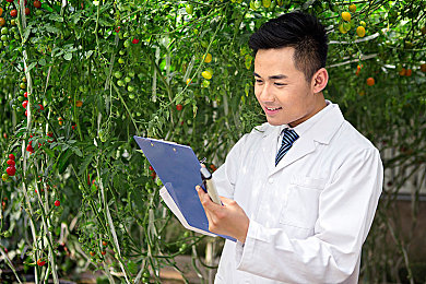 黑料是什么網站推薦的｜網絡迷霧中的真相探尋：揭秘“黑料”網站推薦真相-2
