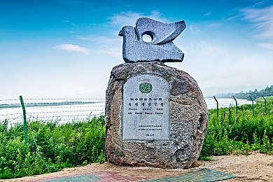冰塊加棉簽(黃)91｜清涼奇遇：冰棉黃簽，夏日親子大作戰-3