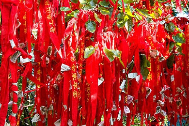 妖精視頻yjsp在線播放｜穿梭妖精森林，探尋奇幻種族之旅-4