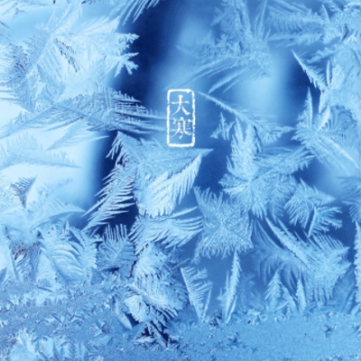 法國空姐2019滿天星,體驗法國空姐的優雅與挑戰,翱翔天際的策略管理之旅-2